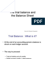 The Trial Balance