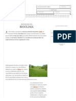 Definición de Bioclima - Qué Es, Significado y Concepto