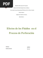 Trabajo de Fluidos de Perforacion Luis Rico