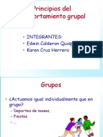 Principios de Comportamiento Grupal