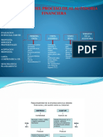 Proceso Aud - Fin.