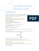 Endulzamiento Del Gas Natural Con Aminas