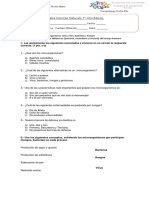 Prueba Microorganismos Adecuada 7°