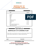 Morphology of Flowering Plants