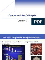 Gbbe Chapter 2 Cancer