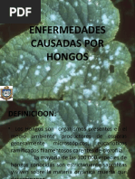 Enfermedades Causadas Por Hongos