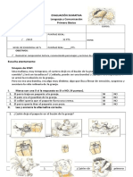 Evaluacion Libro Kiwi