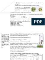 Ficha Biologia 10º - Distribuição Da Matéria Correção