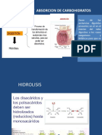 Metabolismo de Carbohidratos en Peces.2017pptx