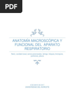 Anatomía Macroscópica y Funcional Del Aparato Respiratorio