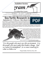 Sea Turtle Research in Florida