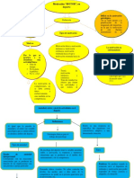 Mapa Conceptuales