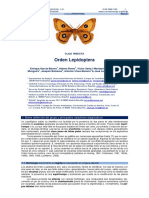 Guias de Lepidopteras PDF