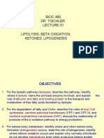 Lipolysis Lipogenesis