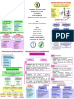 Triptico Sistema Nervioso Autonomo PDF