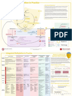 Methylation