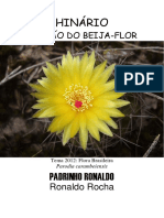 Padrinho Ronaldo - Cancao Do Beija-Flor 