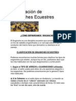 Clasificación de Enganches Ecuestres