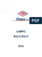 11 Campo BBL 2016