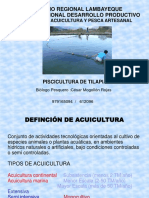 Charla Tilapia Pimentel