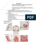 Clase 31 Absceso Cerebral PDF