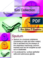 Sputum Collection