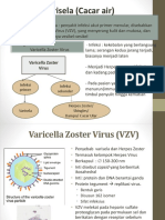 Varicella Dan Herpes Zooster