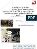 Obtención de Fibra de Celulosa A Partir de La Cosecha Agricola