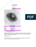 Varicella Zoster Virus