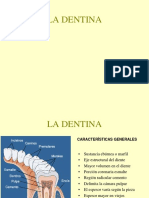 Tema 5 Dentina