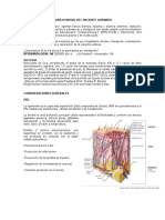 Manejo Inicial Del Paciente Quemado