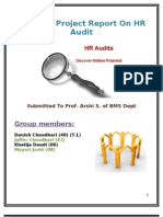 HR Audit Project