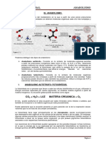 Lectura - Anabolismo