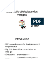 Cours Vertiges Iddir