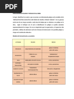 Matriz de Identificación de Peligros