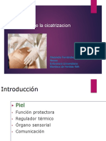 Fisiologia de La Cicatrizacion