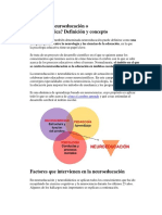 Qué Es La Neuroeducación o Neurodidáctica