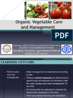 Organic Vegetable Care