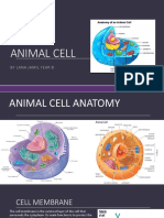 Animal Cell 3