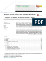 Honey in Modern Wound Care - A Systematic Review PDF