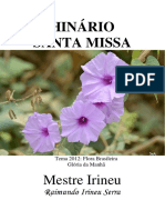 Mestre Irineu - A Santa Missa