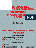 Programas Del Manejo Reproductivo en Bovinos v2