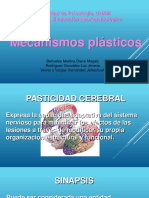 Mecanismos Plásticos