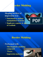 Border Molding