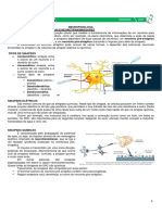 Neurofisiologia MEDRESUMO