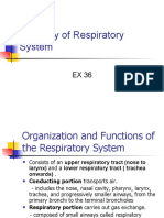 Anatomy of Respiratory System