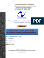 Matériaux Mis en Œuvre Dans La Couche de Surface Des Chaussées Bitumineuses Épaisses