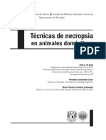 Tecnicas Necropsias Preliminares