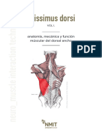 Dorsal Ancho - Activación Muscular NMIT