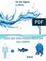 A Importância Da Água para Os Seres Vivos